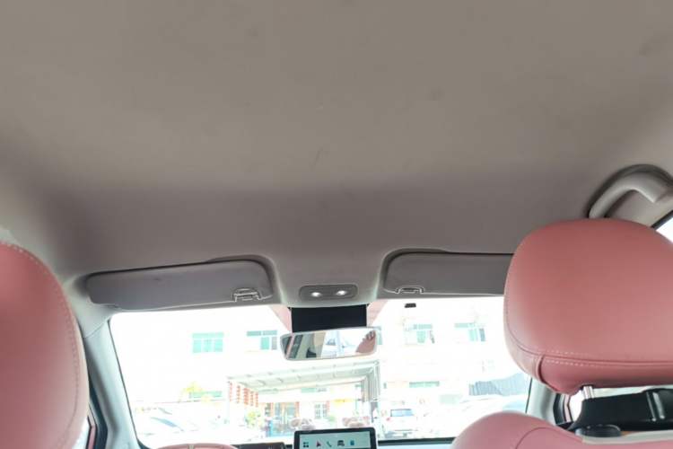 Used NETA V 2022 Chao 400 Lite Pink Custom Edition Headliner