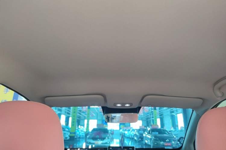 Used NETA V 2022 Chao 400 Lite Pink Custom Edition Headliner