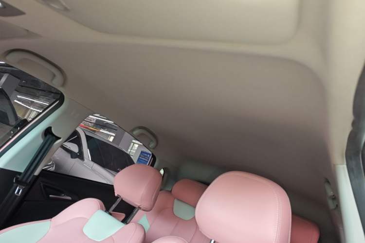 Used NETA V 2022 Chao 400 Lite Pink Custom Edition Headliner