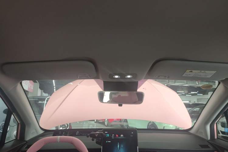 Used NETA V 2022 Chao 400 Lite Pink Custom Edition Headliner