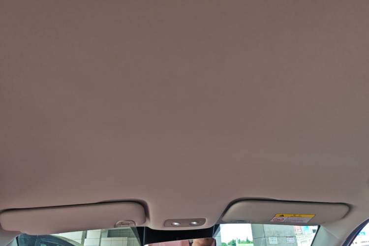 Used NETA V 2022 Chao 400 Lite Pink Custom Edition Headliner