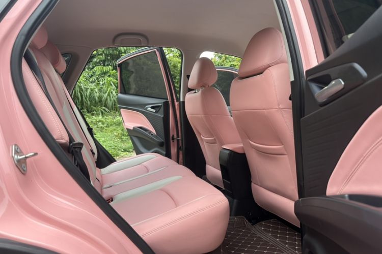 Used NETA V 2022 Chao 400 Lite Pink Custom Edition Interior 10