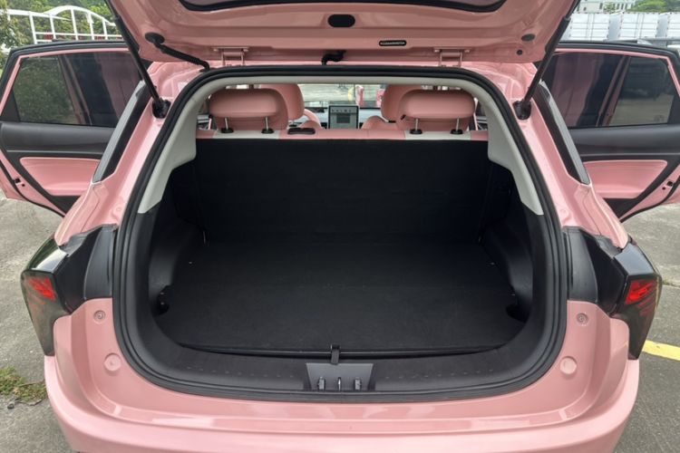 Used NETA V 2022 Chao 400 Lite Pink Custom Edition Interior 5