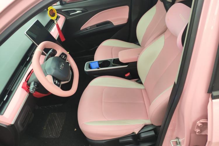 Used NETA V 2022 Chao 400 Lite Pink Custom Edition Left Front Seat