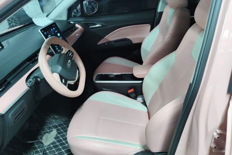Used NETA V 2022 Chao 400 Lite Pink Custom Edition Left Front Seat