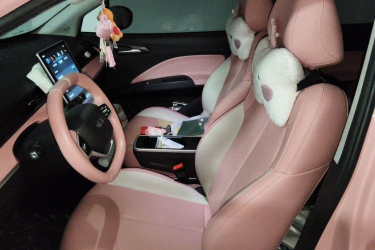 Used NETA V 2022 Chao 400 Lite Pink Custom Edition Left Front Seat