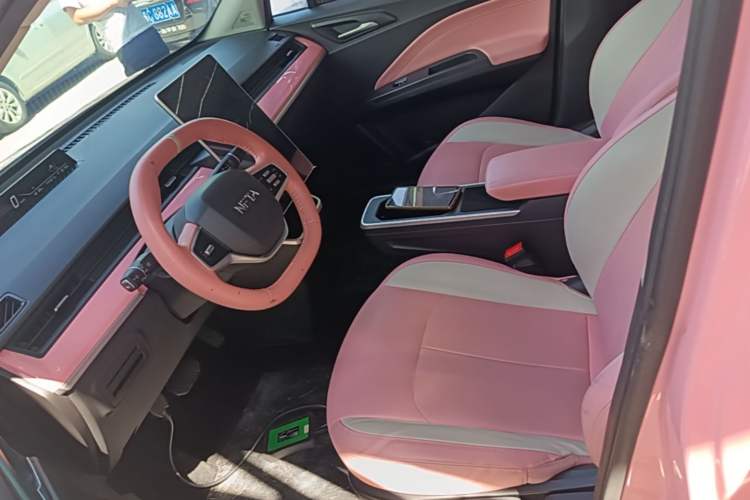 Used NETA V 2022 Chao 400 Lite Pink Custom Edition Left Front Seat