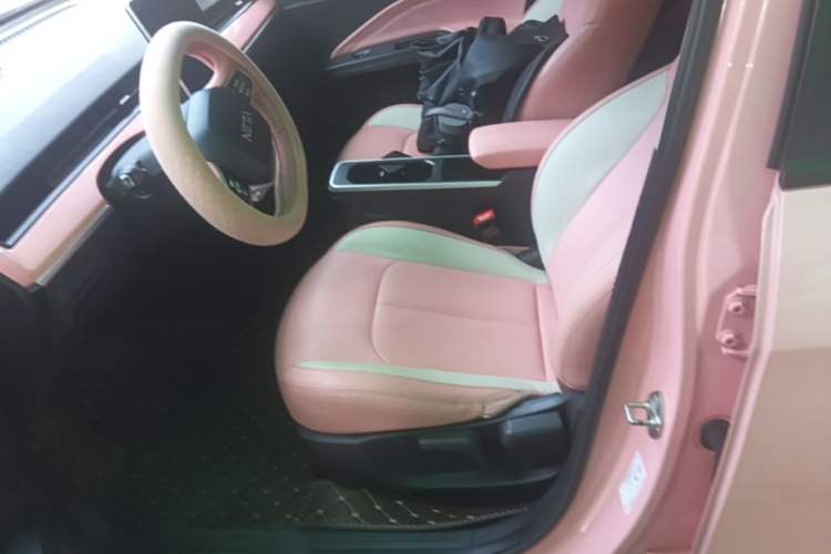 Used NETA V 2022 Chao 400 Lite Pink Custom Edition Left Front Seat