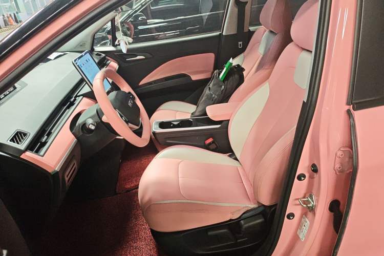 Used NETA V 2022 Chao 400 Lite Pink Custom Edition Left Front Seat