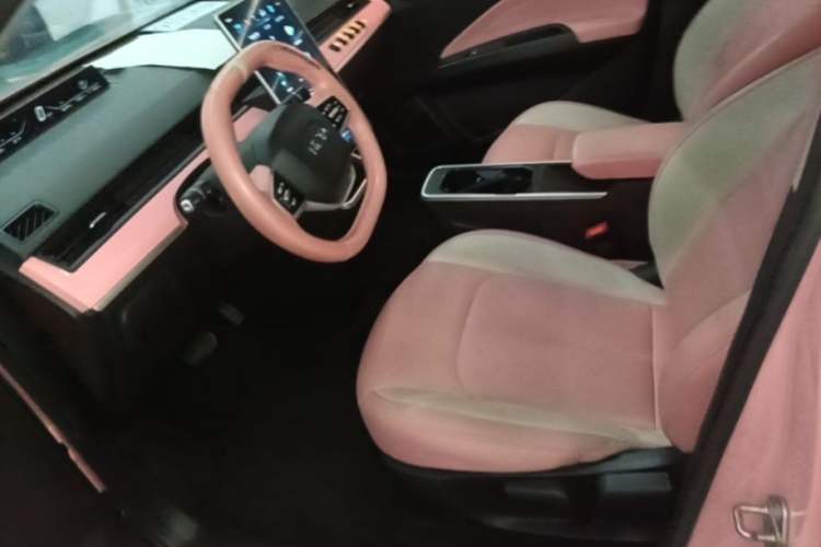 Used NETA V 2022 Chao 400 Lite Pink Custom Edition Left Front Seat