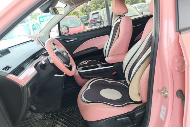 Used NETA V 2022 Chao 400 Lite Pink Custom Edition Left Front Seat