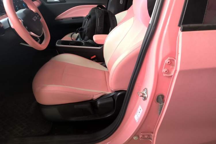 Used NETA V 2022 Chao 400 Lite Pink Custom Edition Left Front Seat