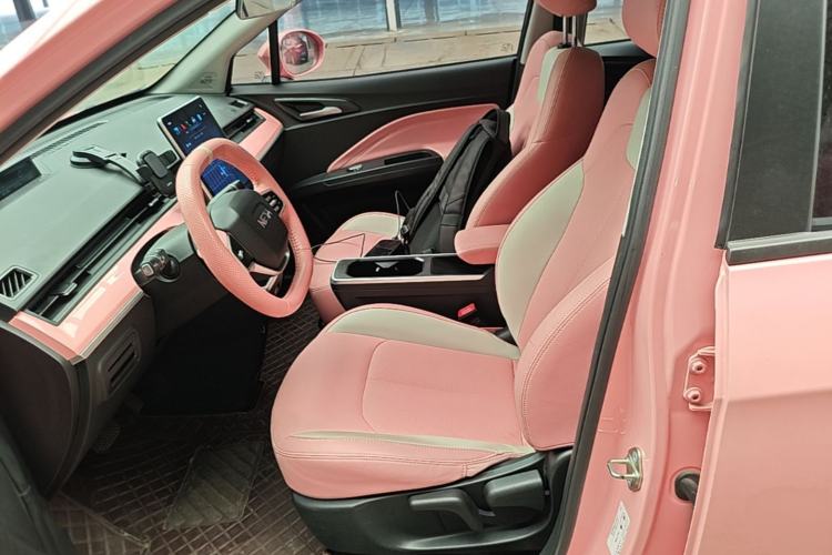 Used NETA V 2022 Chao 400 Lite Pink Custom Edition Left Front Seat