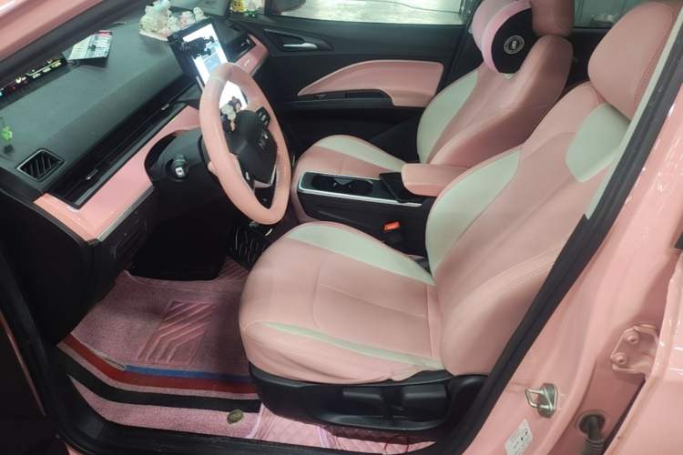 Used NETA V 2022 Chao 400 Lite Pink Custom Edition Left Front Seat