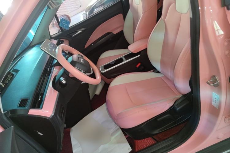 Used NETA V 2022 Chao 400 Lite Pink Custom Edition Left Front Seat