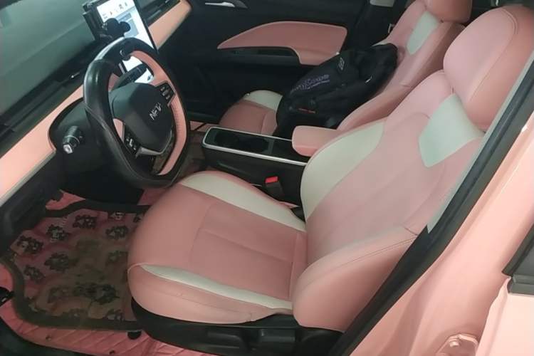 Used NETA V 2022 Chao 400 Lite Pink Custom Edition Left Front Seat