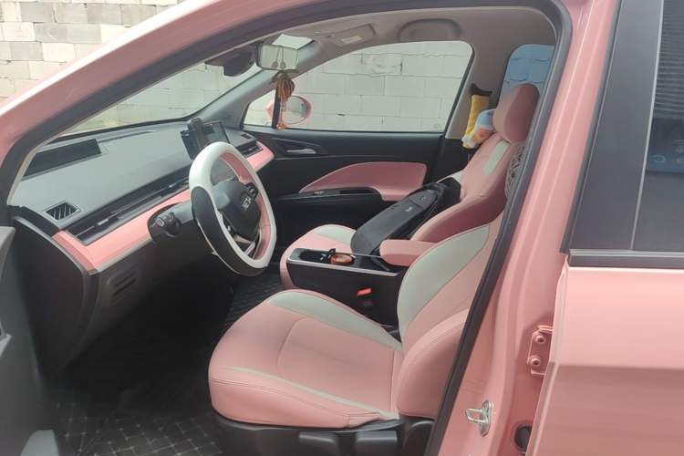 Used NETA V 2022 Chao 400 Lite Pink Custom Edition Left Front Seat