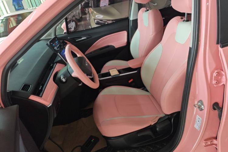 Used NETA V 2022 Chao 400 Lite Pink Custom Edition Left Front Seat