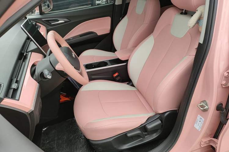 Used NETA V 2022 Chao 400 Lite Pink Custom Edition Left Front Seat