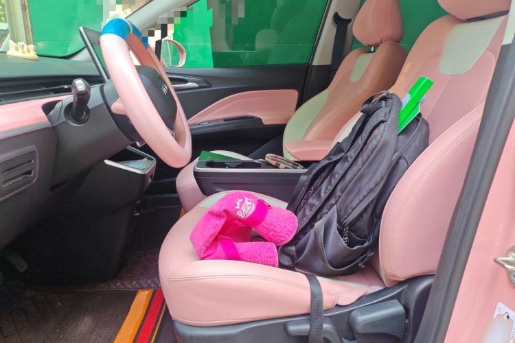 Used NETA V 2022 Chao 400 Lite Pink Custom Edition Left Front Seat