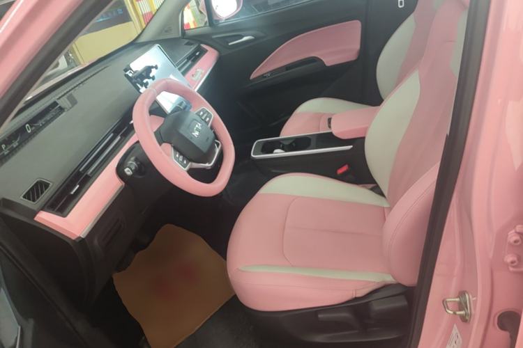 Used NETA V 2022 Chao 400 Lite Pink Custom Edition Left Front Seat