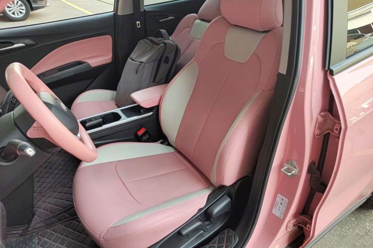Used NETA V 2022 Chao 400 Lite Pink Custom Edition Left Front Seat
