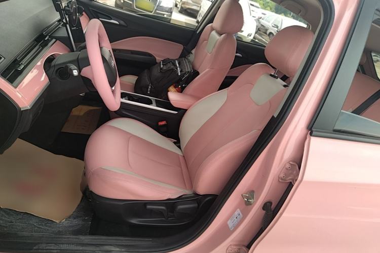Used NETA V 2022 Chao 400 Lite Pink Custom Edition Left Front Seat