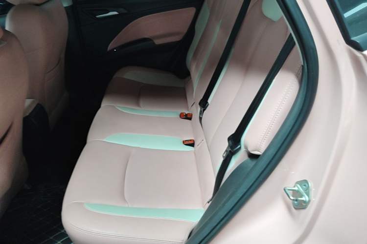 Used NETA V 2022 Chao 400 Lite Pink Custom Edition Left Rear Seat