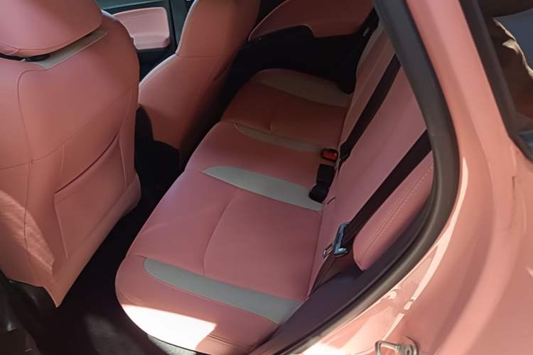 Used NETA V 2022 Chao 400 Lite Pink Custom Edition Left Rear Seat