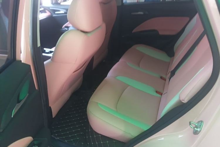 Used NETA V 2022 Chao 400 Lite Pink Custom Edition Left Rear Seat