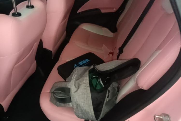Used NETA V 2022 Chao 400 Lite Pink Custom Edition Left Rear Seat