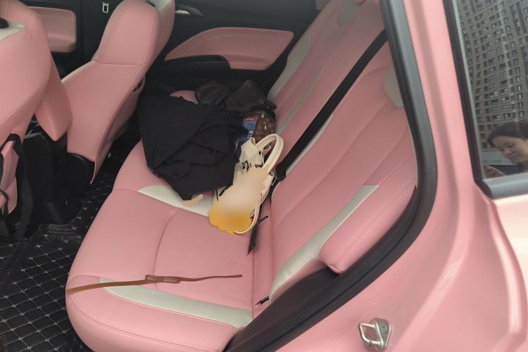 Used NETA V 2022 Chao 400 Lite Pink Custom Edition Left Rear Seat
