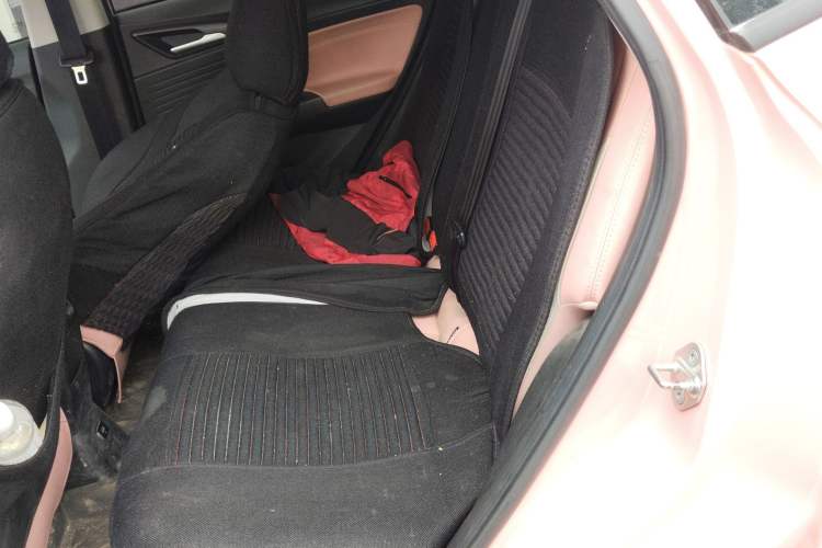 Used NETA V 2022 Chao 400 Lite Pink Custom Edition Left Rear Seat