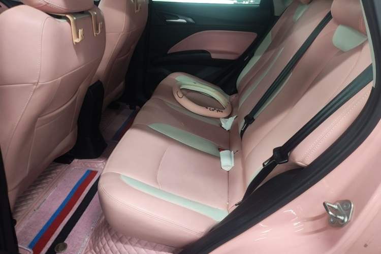 Used NETA V 2022 Chao 400 Lite Pink Custom Edition Left Rear Seat
