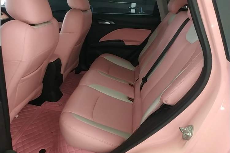 Used NETA V 2022 Chao 400 Lite Pink Custom Edition Left Rear Seat