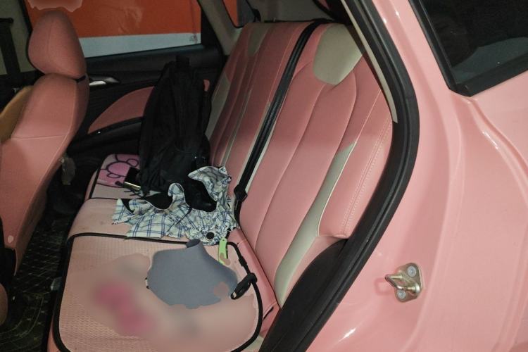 Used NETA V 2022 Chao 400 Lite Pink Custom Edition Left Rear Seat