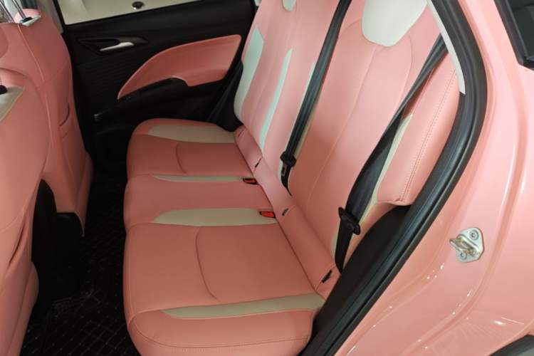 Used NETA V 2022 Chao 400 Lite Pink Custom Edition Left Rear Seat