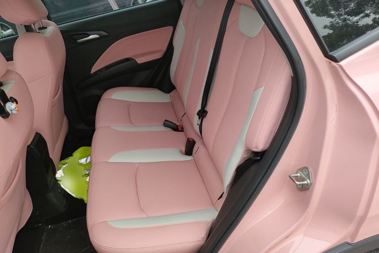 Used NETA V 2022 Chao 400 Lite Pink Custom Edition Left Rear Seat