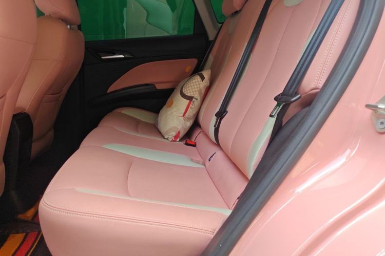 Used NETA V 2022 Chao 400 Lite Pink Custom Edition Left Rear Seat
