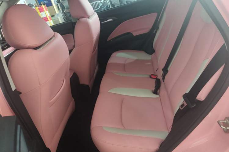 Used NETA V 2022 Chao 400 Lite Pink Custom Edition Left Rear Seat