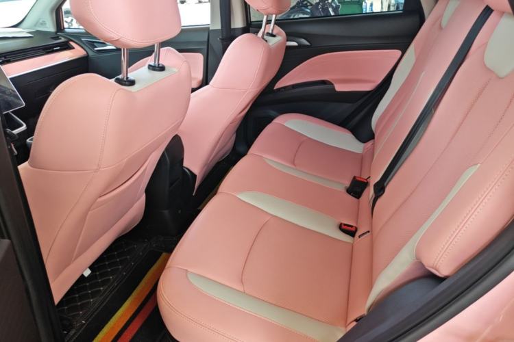 Used NETA V 2022 Chao 400 Lite Pink Custom Edition Left Rear Seat