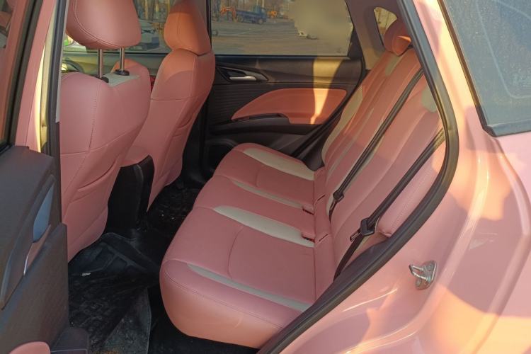 Used NETA V 2022 Chao 400 Lite Pink Custom Edition Interior 4