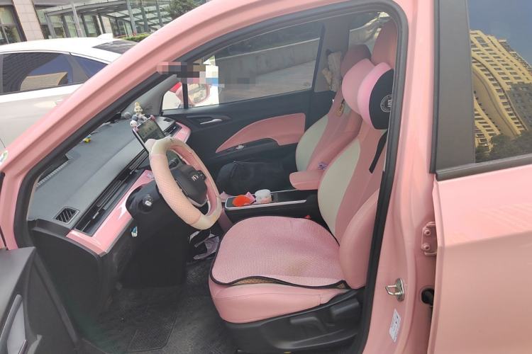 Used NETA V 2022 Chao 400 Lite Pink Custom Edition Left Front Seat