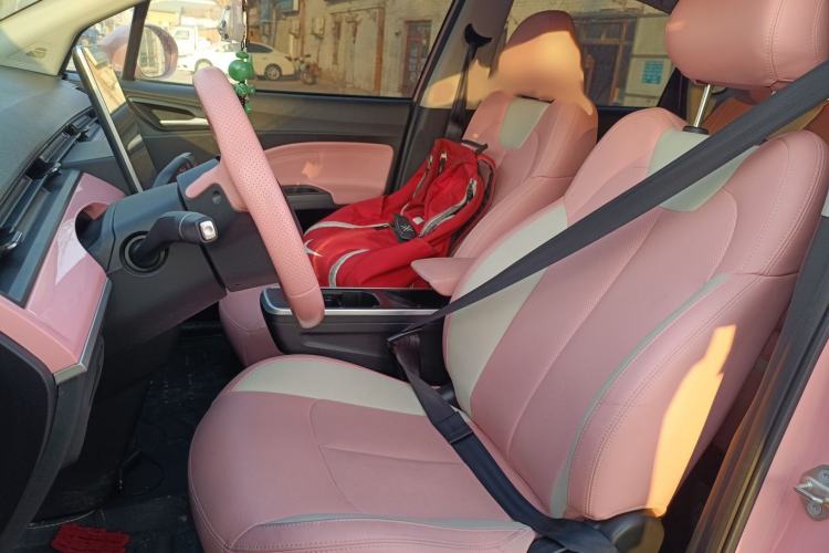 Used NETA V 2022 Chao 400 Lite Pink Custom Edition Left Front Seat