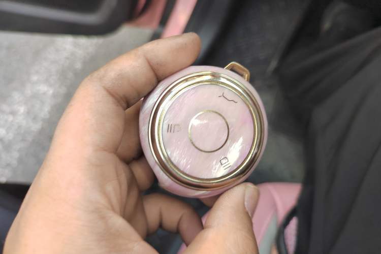Used NETA V 2022 Chao 400 Lite Pink Custom Edition Vehicle Key