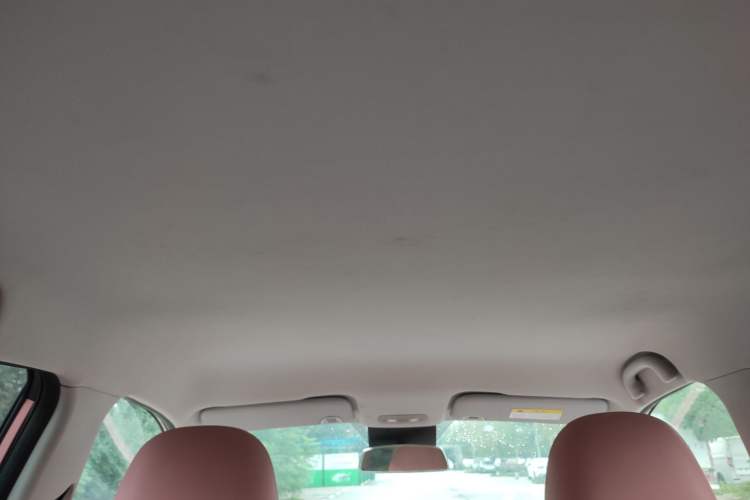 Used NETA V 2022 Chao 400 Lite Pink Custom Edition Headliner