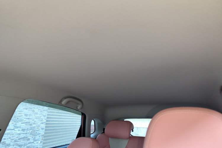Used NETA V 2022 Chao 400 Lite Pink Custom Edition Headliner