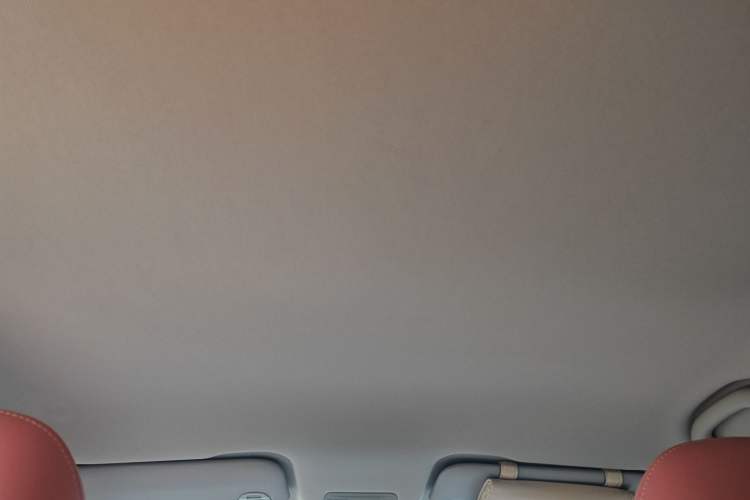 Used NETA V 2022 Chao 400 Lite Pink Custom Edition Headliner
