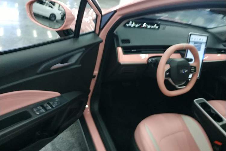 Used NETA V 2022 Chao 400 Lite Pink Custom Edition Interior 3