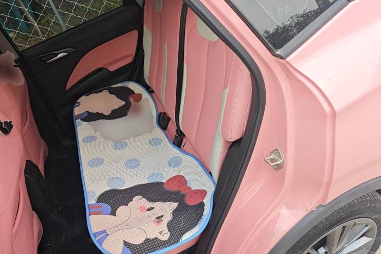 Used NETA V 2022 Chao 400 Lite Pink Custom Edition Interior 4